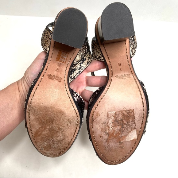 COACH “Pipher” Leather Ankle Strap Block Heel Sandal - Picture 13 of 16